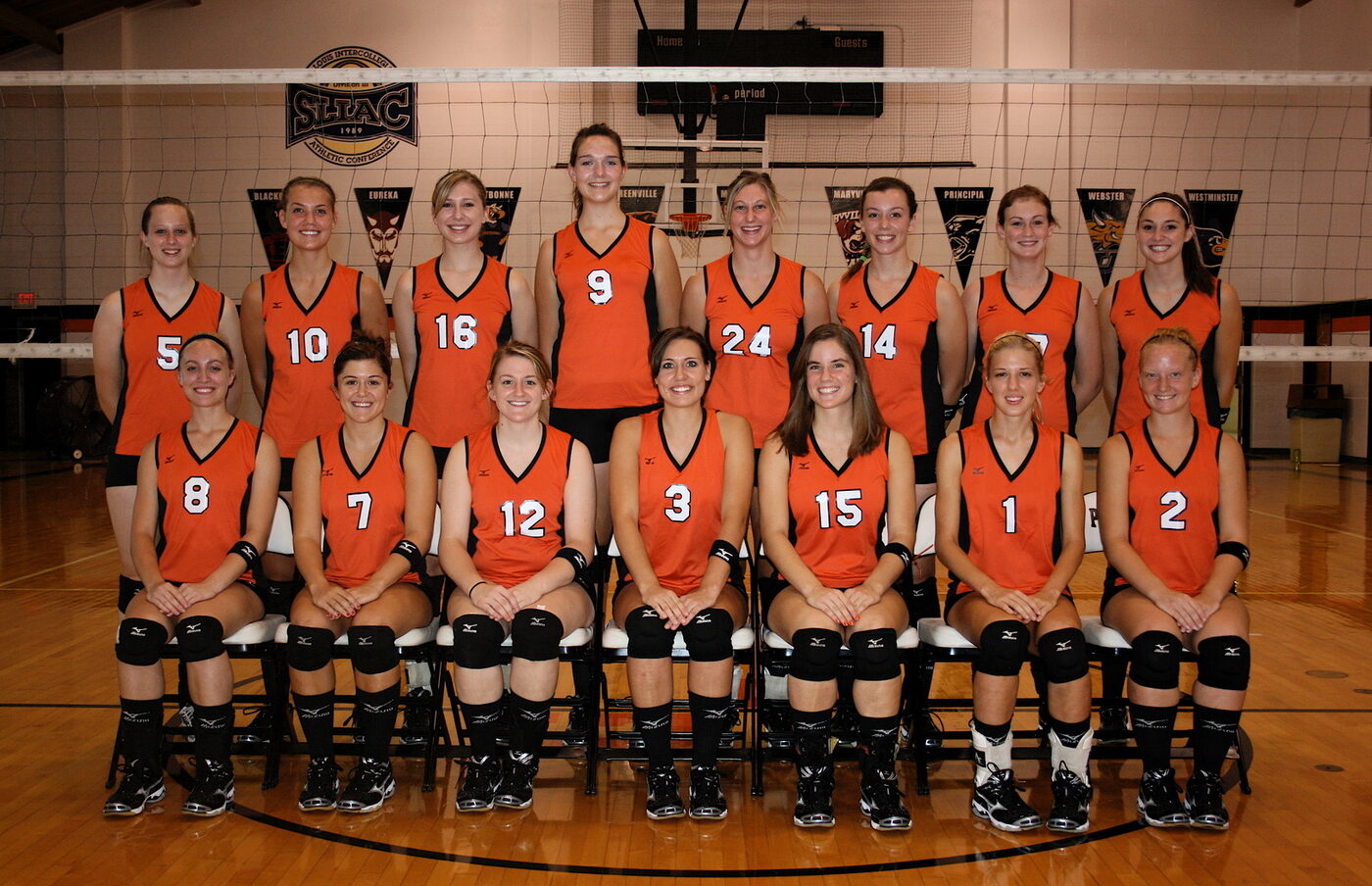 Greenville Panthers women's volleyball team photo from the 2008 season.